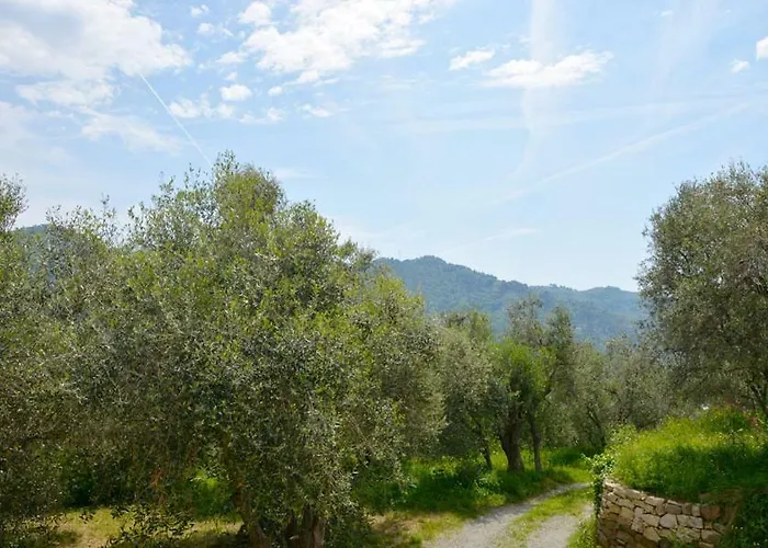 Casa Delle Olive ドルチェアックア