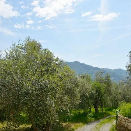 Casa Delle Olive Dolceacqua